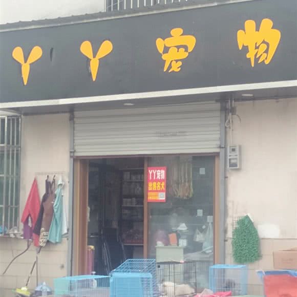 丫丫宠物:苏州市常熟市虞山镇附近