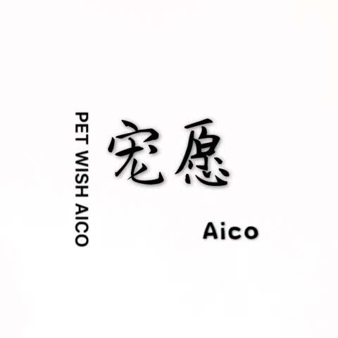 Aico 爱可宠物生活乐园:苏州市常熟市虞山镇附近
