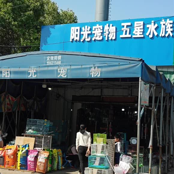 阳光宠物乐园:苏州市张家港市杨舍镇附近