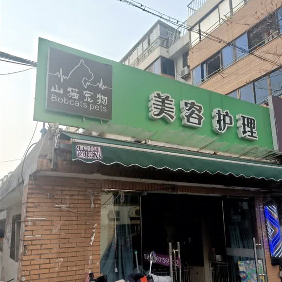 山猫宠物美容护理:苏州市张家港市杨舍镇附近