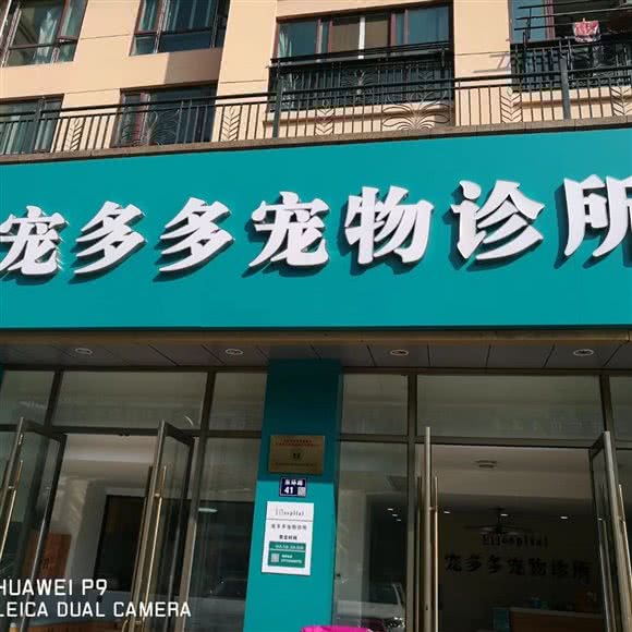 宠多多宠物诊所(东环路店):苏州市张家港市杨舍镇附近