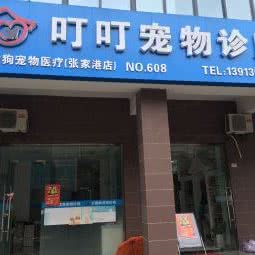 大嘴狗宠物诊所:苏州市张家港市杨舍镇附近