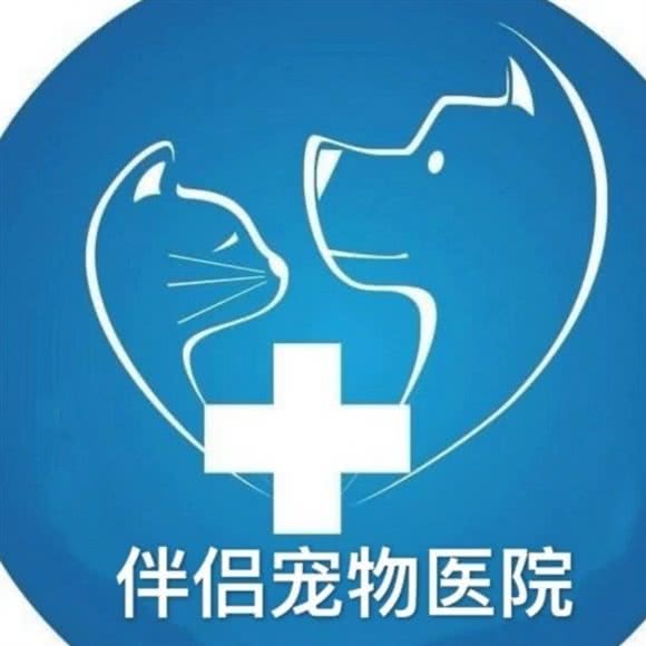 伴侣宠物医院:苏州市张家港市杨舍镇附近