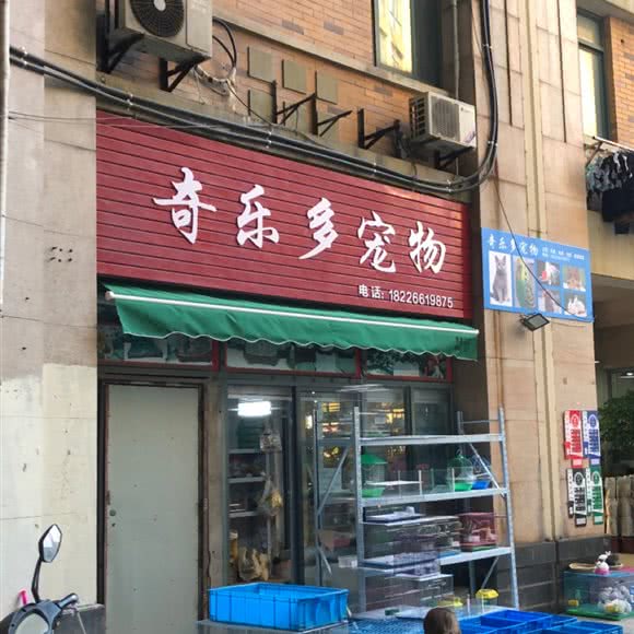 奇乐多宠物:苏州市昆山市玉山镇附近