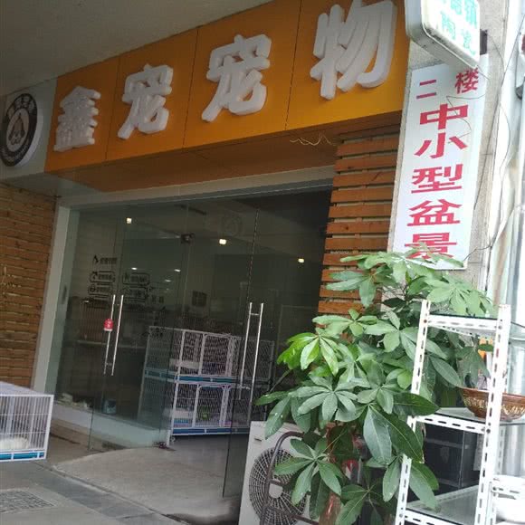 鑫宠宠物:苏州市昆山市玉山镇附近