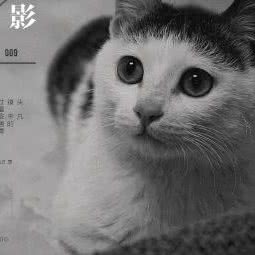 心宠宸:苏州市昆山市玉山镇附近