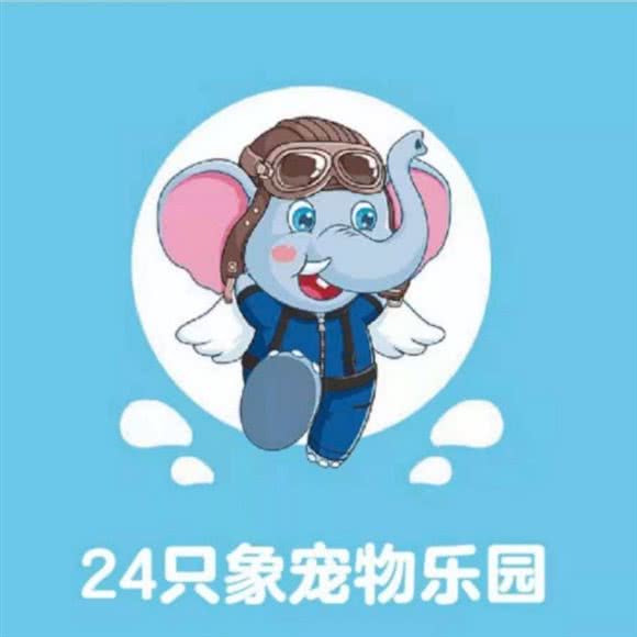 24只象宠物乐园:北京城区通州区次渠附近