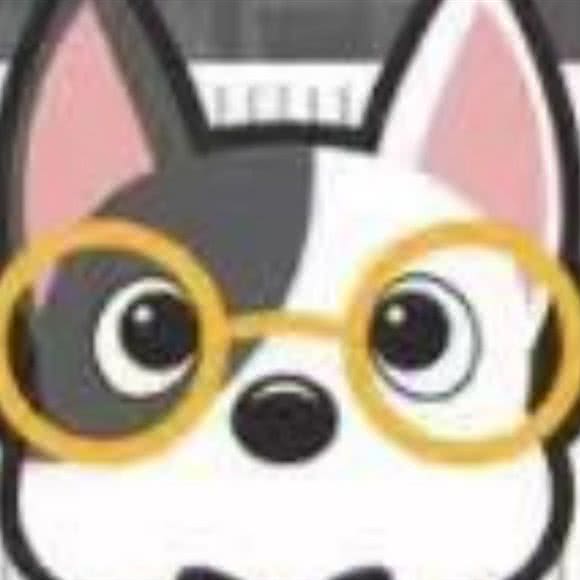 哈尼宠物:北京城区通州区次渠附近