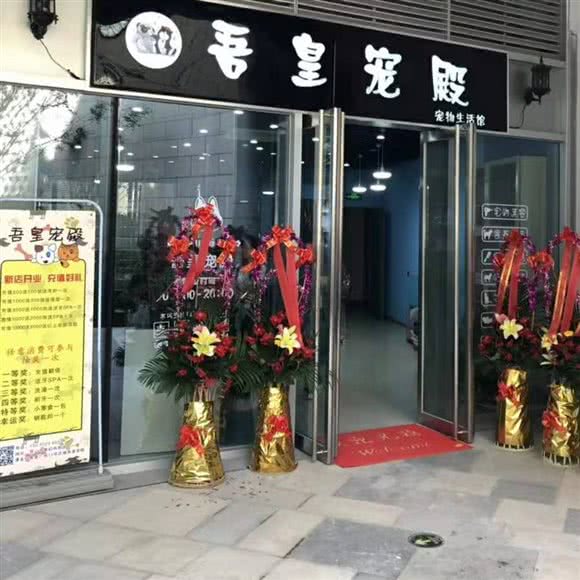吾皇宠殿:苏州市昆山市玉山镇附近