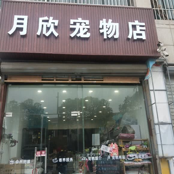 月欣宠物店(庆丰东路景枫嘉苑店):苏州市昆山市玉山镇附近