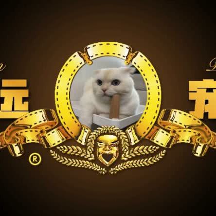 阿远宠物狗:苏州市昆山市玉山镇附近