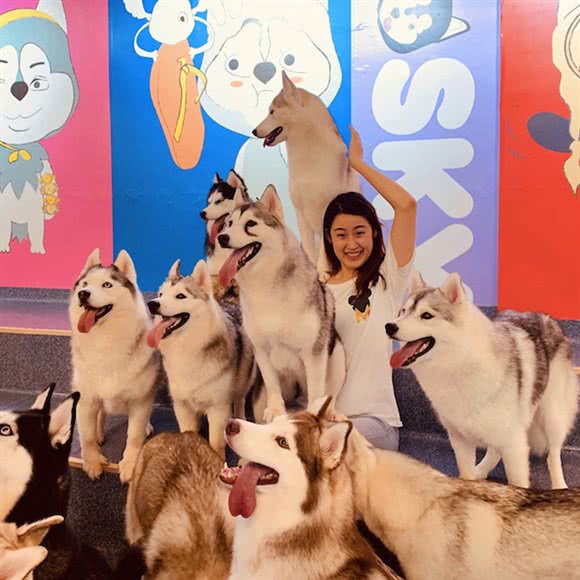 HaHa HUSKY 哈哈哈士奇(三里屯店):北京城区朝阳区三里屯/工体附近