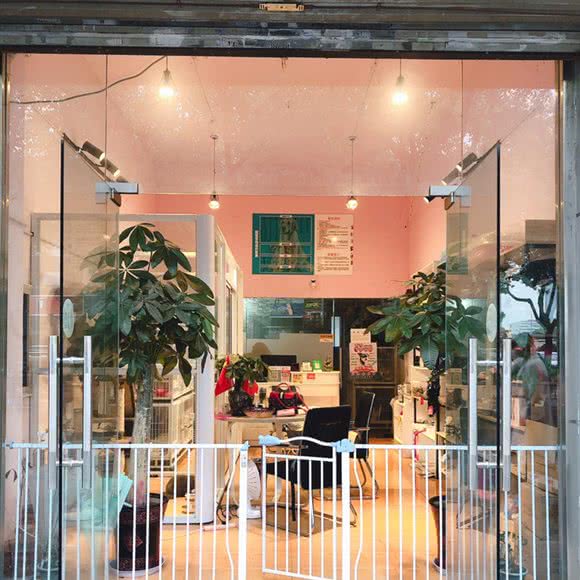 靓宠宠物:苏州市昆山市开发区附近