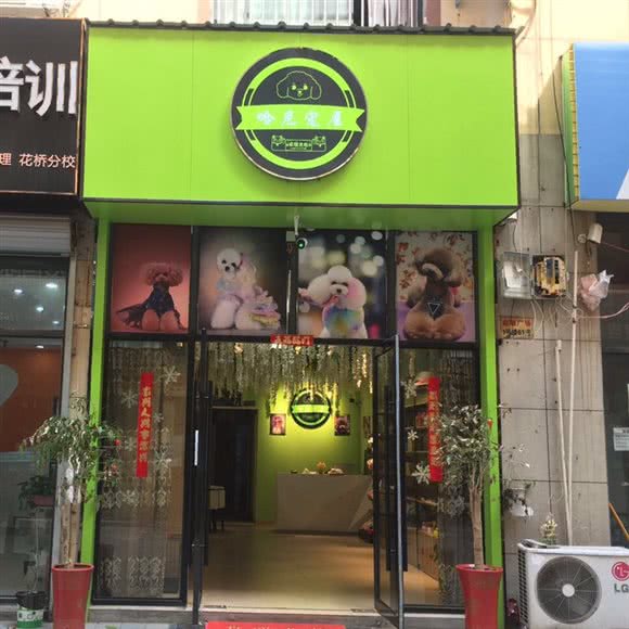 哈尼宠屋:苏州市昆山市花桥镇附近