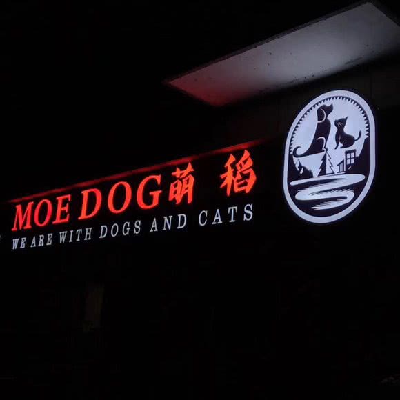 MOE DOG萌稻宠物:苏州市昆山市花桥镇附近