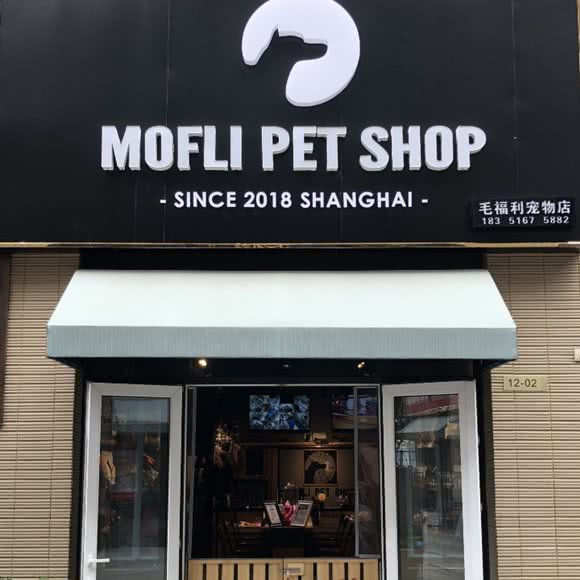 毛社会福利宠物店Mofli  Pet  Shop:苏州市昆山市花桥镇附近