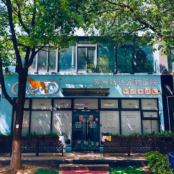 跃达宠物医院:苏州市昆山市花桥镇附近