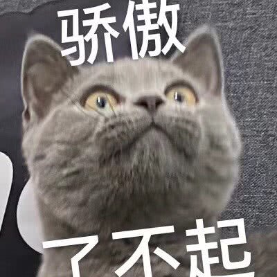 立艾雅宠物馆(青阳路店):苏州市昆山市周市镇附近