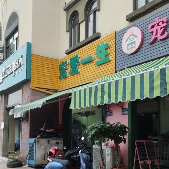 宠爱一生:苏州市昆山市千灯镇附近