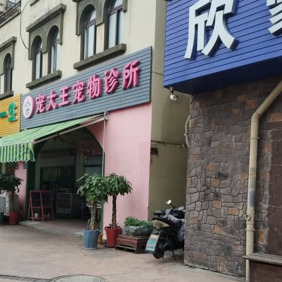 宠大王宠物诊所:苏州市昆山市千灯镇附近