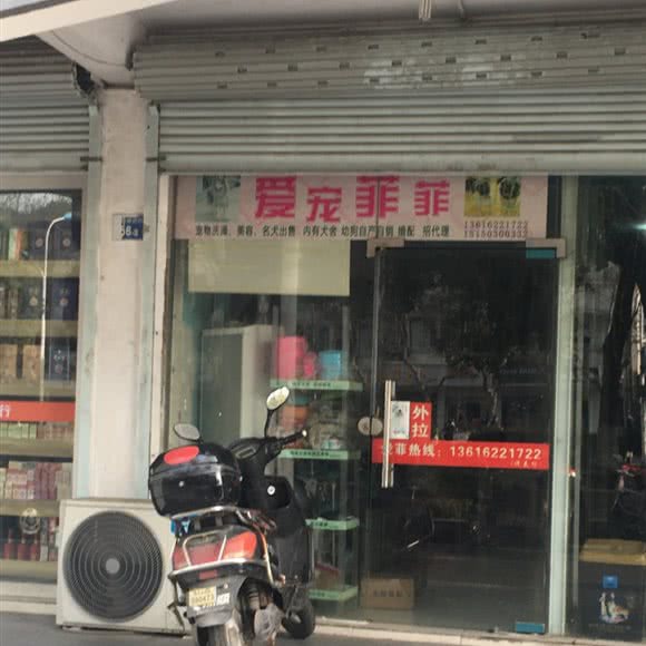 爱宠菲菲:苏州市太仓市城厢镇附近