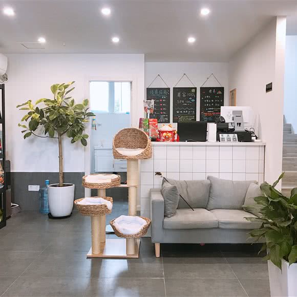 怪兽宠物(花城店):南通市崇川区中南世纪城CBD附近