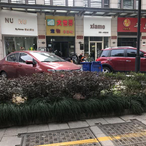 犬世界宠物生活馆:南通市崇川区中南世纪城CBD附近