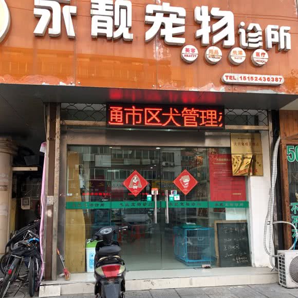 永靓宠物诊所:南通市崇川区圆融广场附近