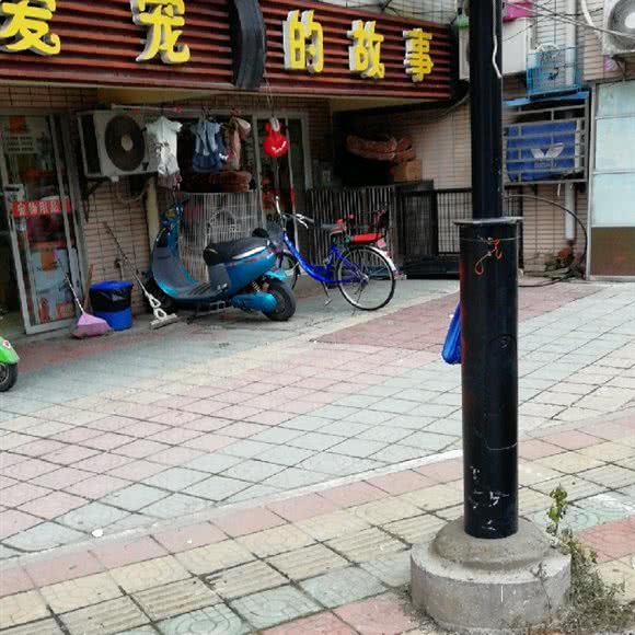 爱宠的故事:南通市崇川区端平桥附近