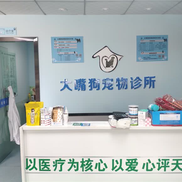 大嘴狗宠物诊所(开发区店):南通市崇川区上海路附近