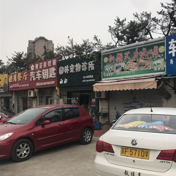 园林宠物:南通市崇川区大学城附近