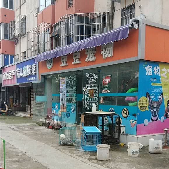 豆豆宠物:南通市崇川区学田附近
