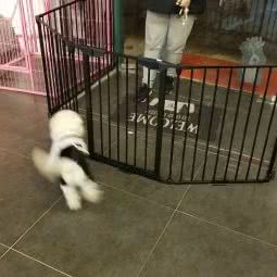宠翻了猫狗生活馆:南通市崇川区高店附近