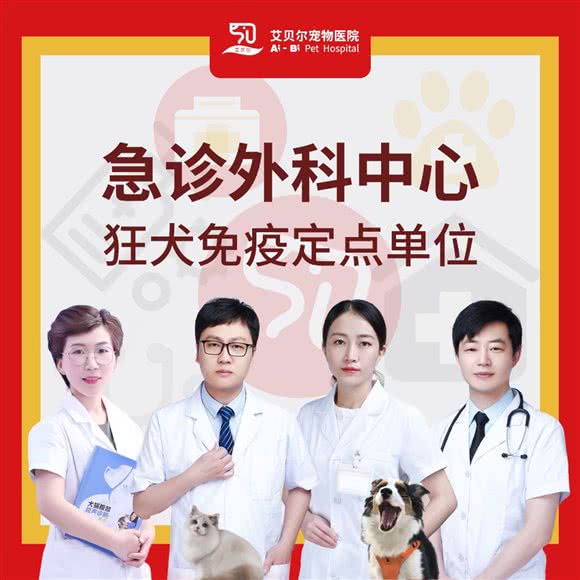 艾贝尔宠物医院(万濠分院):南通市崇川区南通濠河风景区附近