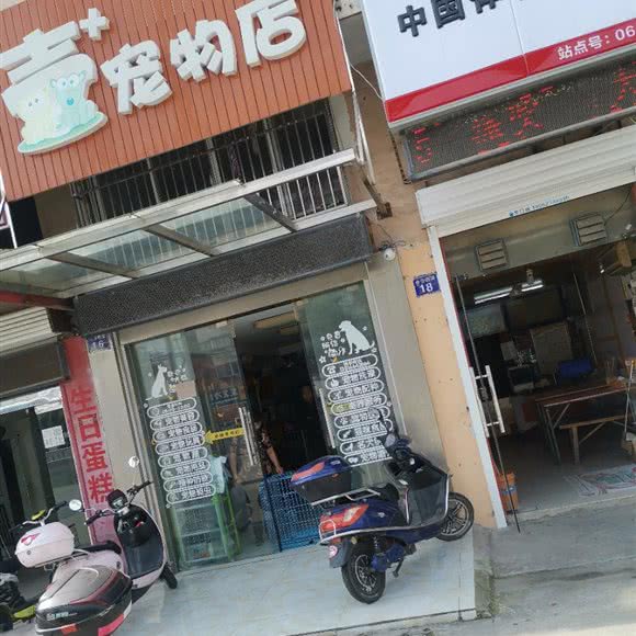 壹宠物店:南通市海门区海门区附近