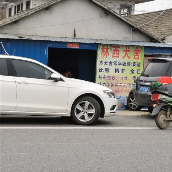 林西犬舍:南通市海门区海门区附近