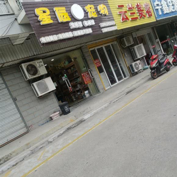 星辰宠物:南通市海安市海安市附近