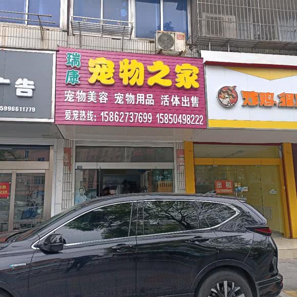瑞康宠物之家:南通市海安市海安市附近