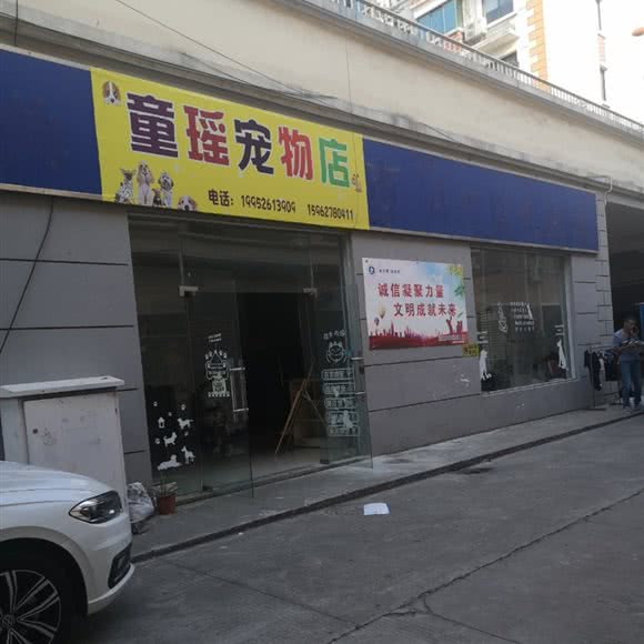 童瑶宠物店:南通市海安市海安市附近