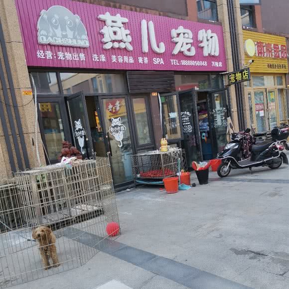 燕儿宠物住院部:南通市海安市海安市附近