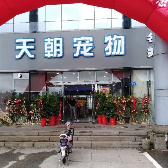 天朝宠物:连云港市连云区嘉瑞宝广场附近