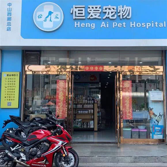 恒爱宠物医院:连云港市连云区嘉瑞宝广场附近