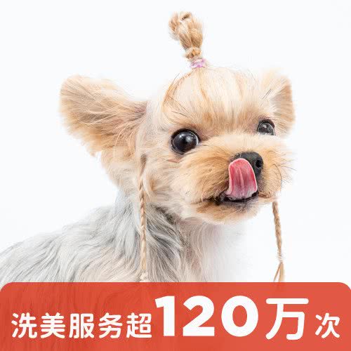 宠物家(亚运村店):北京城区朝阳区亚运村附近