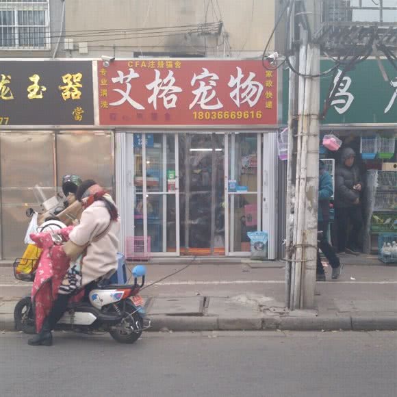 艾格宠物:连云港市海州区海昌路附近