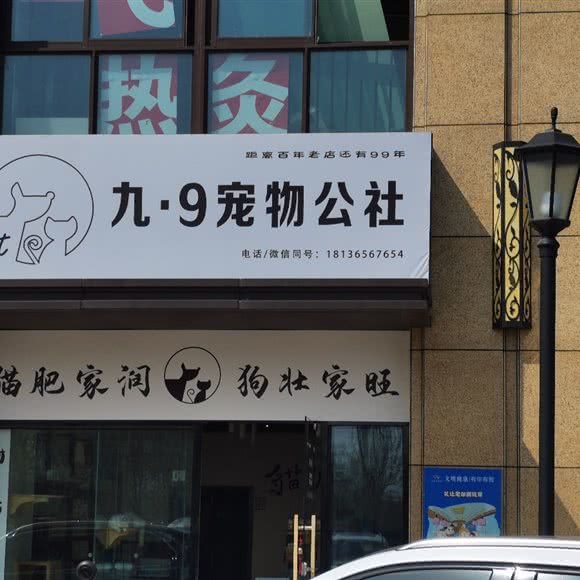 九·9宠物公社:连云港市海州区通灌路附近