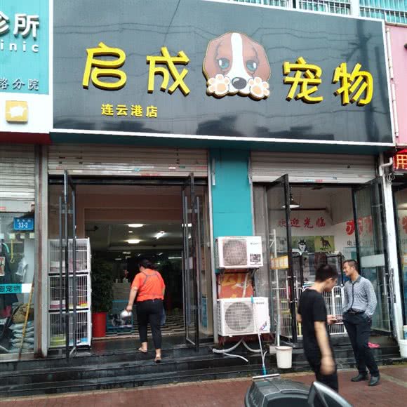 启成宠物(连云港店):连云港市海州区通灌路附近