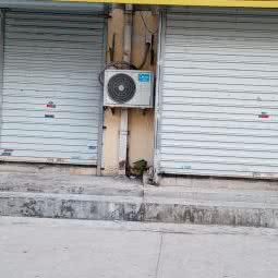 玖玖宠物:连云港市海州区西小区附近