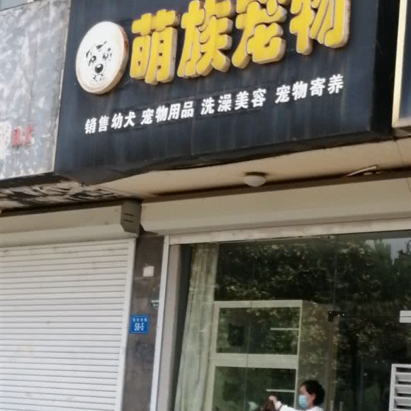 萌族宠物:连云港市海州区郁洲路附近