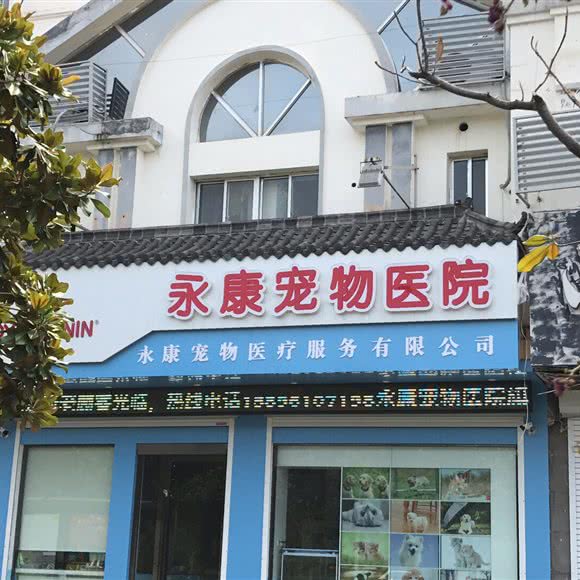 永康宠物医院:连云港市海州区苍梧路附近