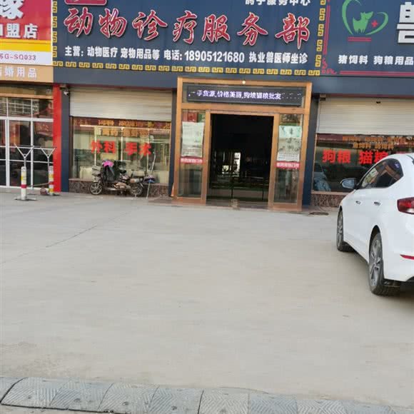 卞长虹动物诊疗服务部:连云港市海州区板浦附近